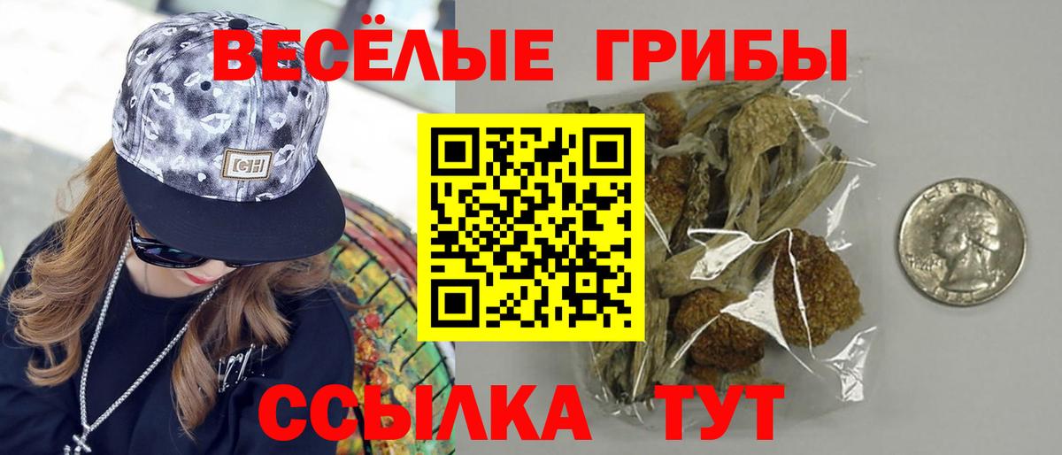 Галлюциногенные грибы Psilocybe Кимовск